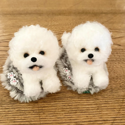 羊毛フェルト ビションフリーゼ ミニチュア 犬 羊毛フェルト ♡ron