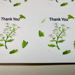 “Thank You ( ありがとう) 丸シール”・手作り・水彩画イラスト 花 シール・24枚花 シール・ 7枚目の画像