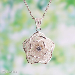 b7ed2883afb43ed8053243b808f54c