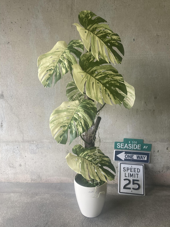 光触媒 人工観葉植物 ウォールグリーン フェイク フラワー 斑入り