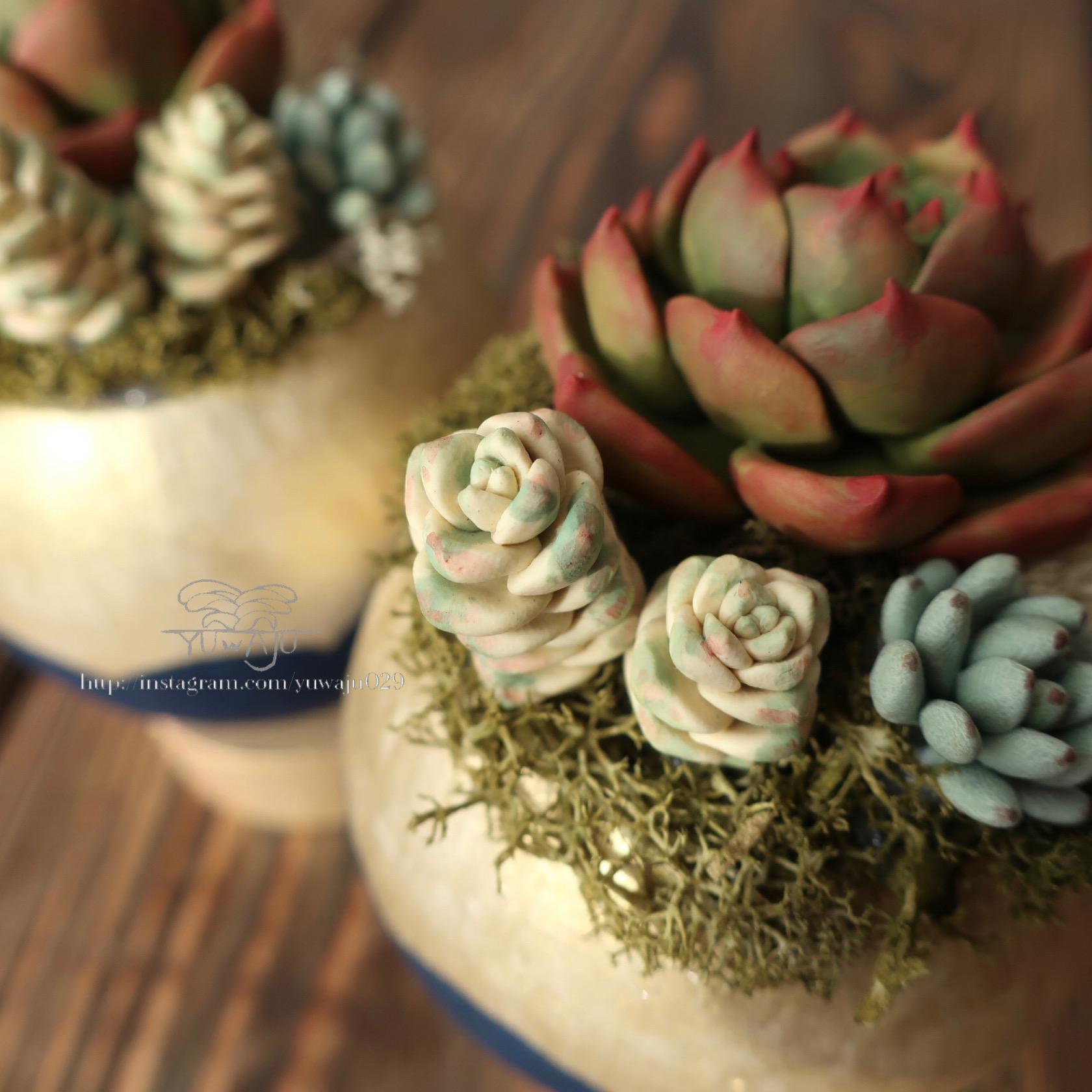 6－386、リメイク缶 リメイク鉢 リメ鉢 多肉植物 良き 