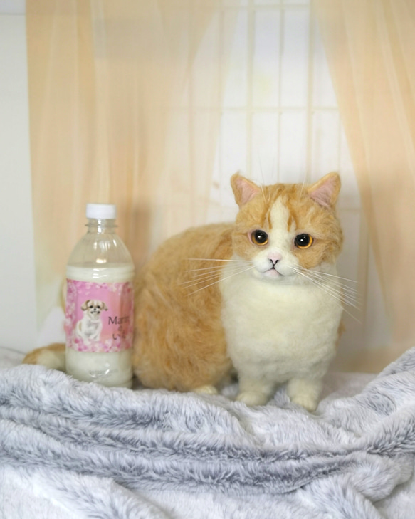 ☆羊毛フェルトマンチカン☆　猫　ハンドメイド　ねこ　ネコ　フェルト猫　ペットロス　虹の橋　羊毛フェルト猫　オーダーメイド 5枚目の画像