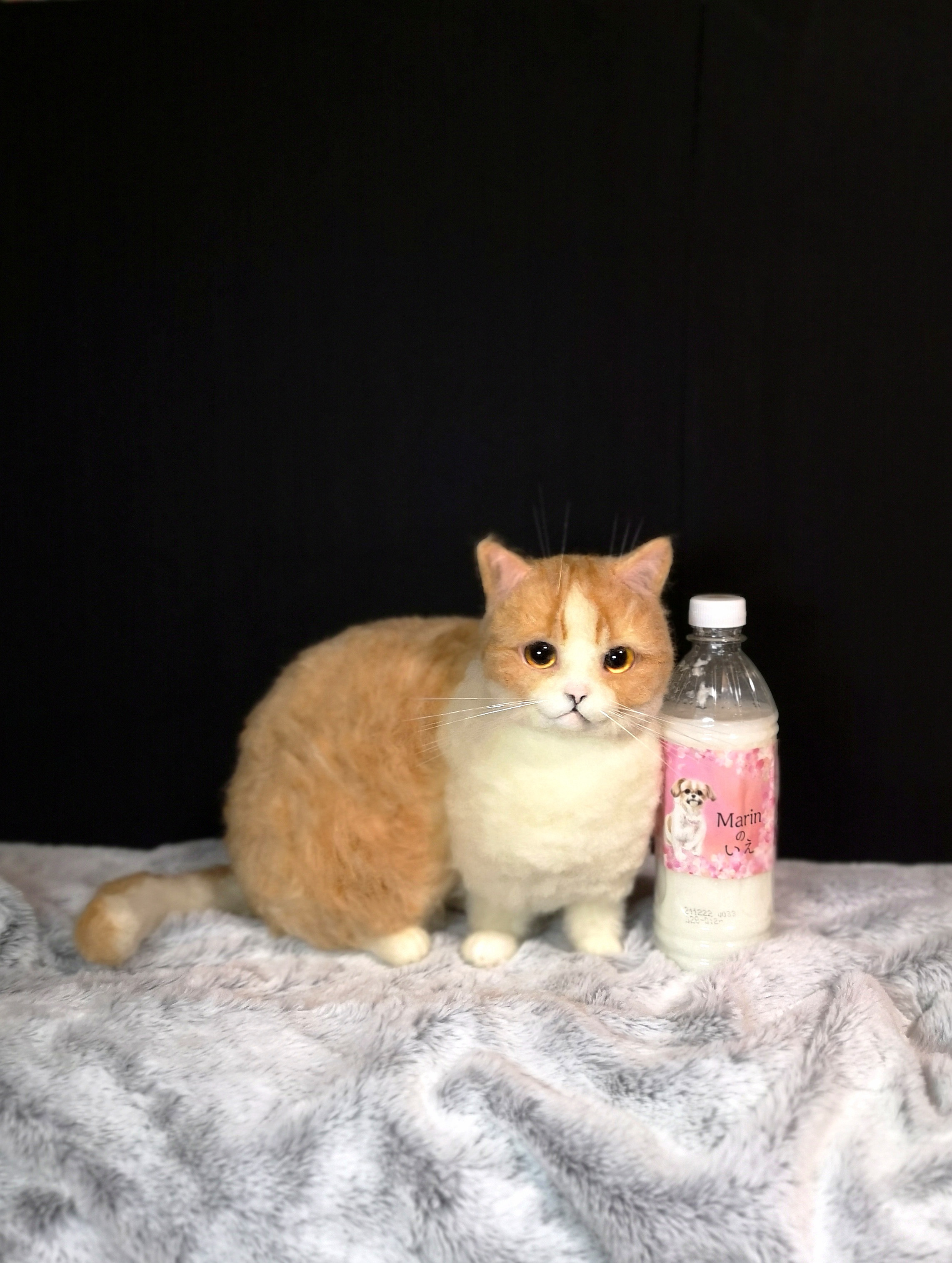 羊毛フェルト 猫 L L Lサイズオーダーサンプルページ