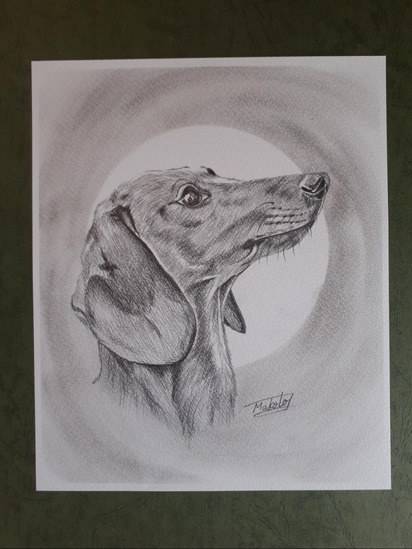 【Akiページ】 鉛筆画 ご依頼 ダップー（トイプー×ダックス） 犬 Aki様専用ページ】 鉛筆画 ご依頼 ダップー（トイプー×ダックス） 犬