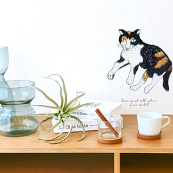 猫のいる暮らし/アンニュイ猫のウォールステッカー　新作2022　シュールな猫　※水濡れ・凹凸の壁OK 6枚目の画像