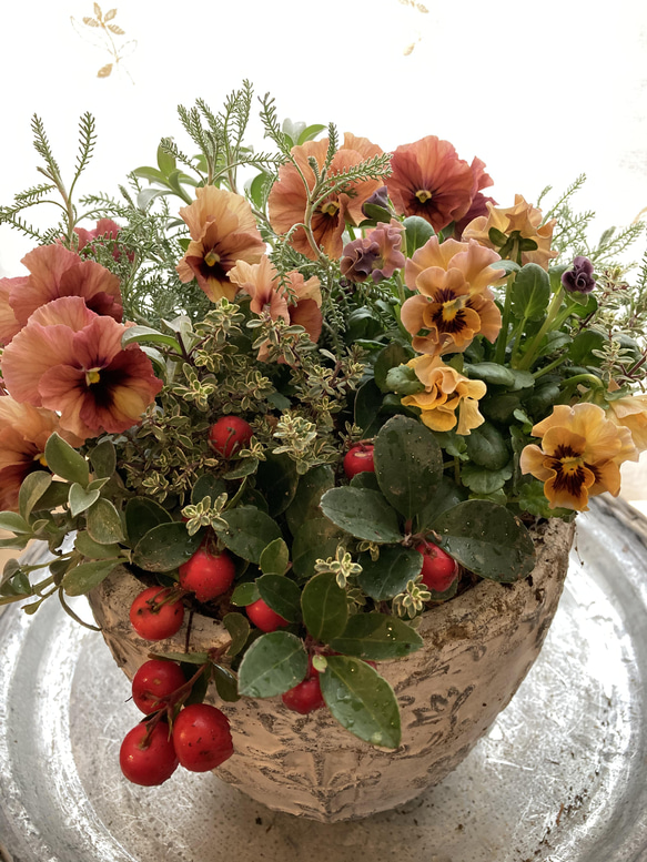 アンティークオレンジの寄せ植え＊* その他インテリア雑貨 アイビー