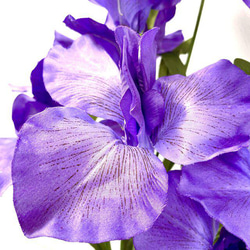 no99,紫の菖蒲の花,紫,アーティフィシャルフラワー,フラワーアレンジメント,ウェディング 5枚目の画像