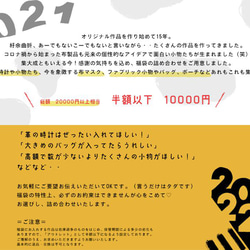 新春福袋2022//レディースSET福袋　￥20000以上相当　マスクも腕時計もバッグもコズモコオールスターズ 2枚目の画像