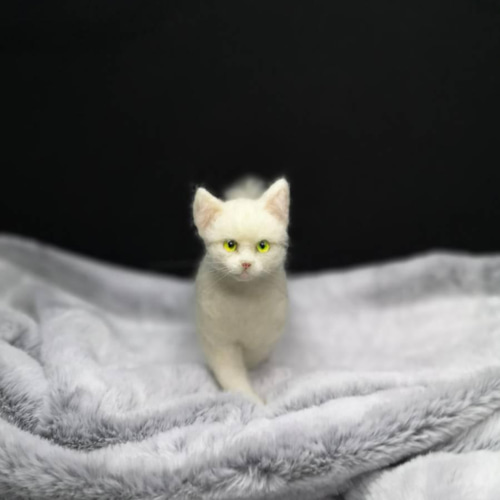 ☆マリンの家☆羊毛フェルト 猫 白猫～歩きポーズ ハンドメイド
