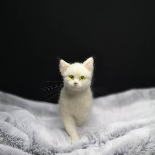 希少♡゜白猫ジェラトーニ☆ファーではありません ☆マリンの家☆羊毛フェルト 猫 白猫～歩きポーズ ハンドメイド