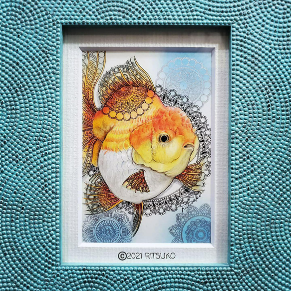 原画 1点もの 額装付き 色鉛筆画 ボールペン画 日本人作家 金魚
