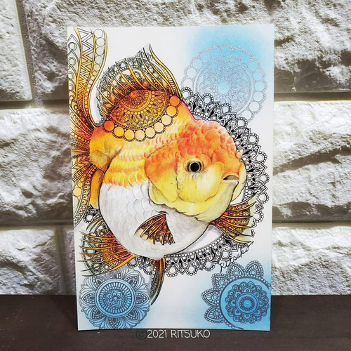 原画 1点もの 額装付き 色鉛筆画 ボールペン画 日本人作家 金魚 金魚の
