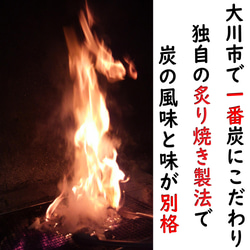 ⭐究極の炭火豚丼の具【ぎゃん丼】6食(1パック2食×3)【ご当地グルメ福岡】 6枚目の画像