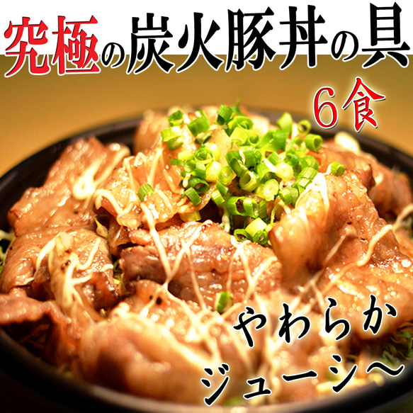 ⭐究極の炭火豚丼の具【ぎゃん丼】6食(1パック2食×3)【ご当地グルメ福岡】 1枚目の画像