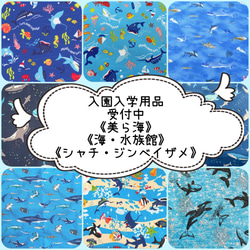 入園 入学 用品☆ レッスンバッグ オーダー 受注注文 受付中 男の子