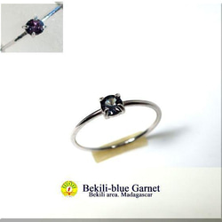 F.I.R.E.　༺Bekili Blue Garnet༻   0.25ct 1枚目の画像