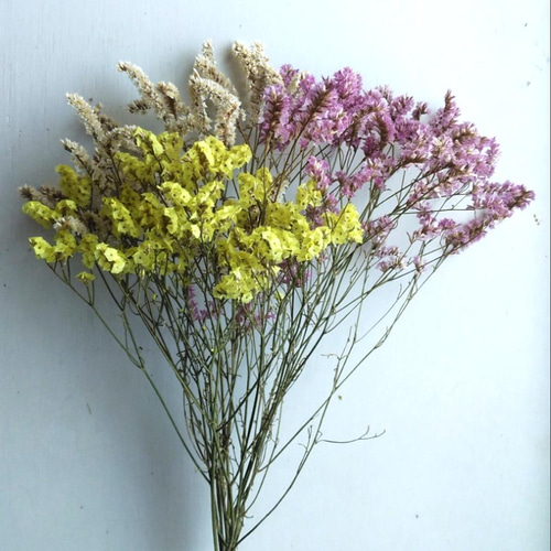 ハイブリッドスターチスのドライフラワー ドライフラワー nyao-mery