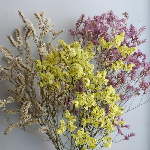 ピンク＆イエローハイブリッドスターチスドライフラワー22本⇒15g〈No.38〉 ピンク＆イエローハイブリッドスターチスドライフラワー22本⇒15g〈No