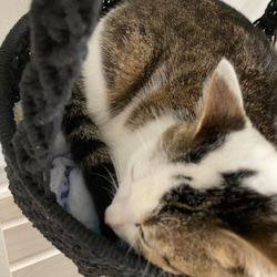 猫用　ハンモック　ベッド　マクラメ編み 6枚目の画像