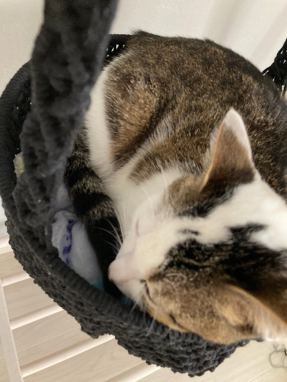 猫用　ハンモック　ベッド　マクラメ編み 6枚目の画像