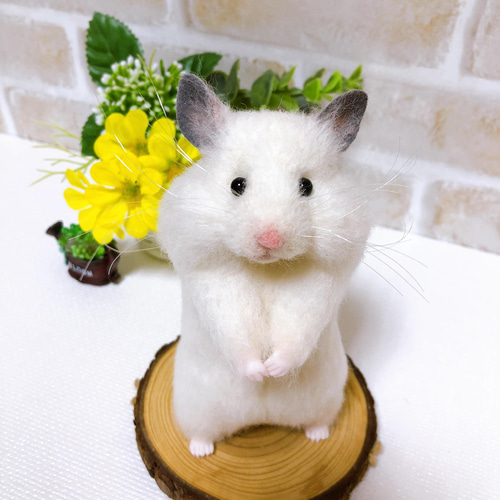 大きなほっぺのシロクマちゃん *ゴールデンホワイトハムスター* <羊毛