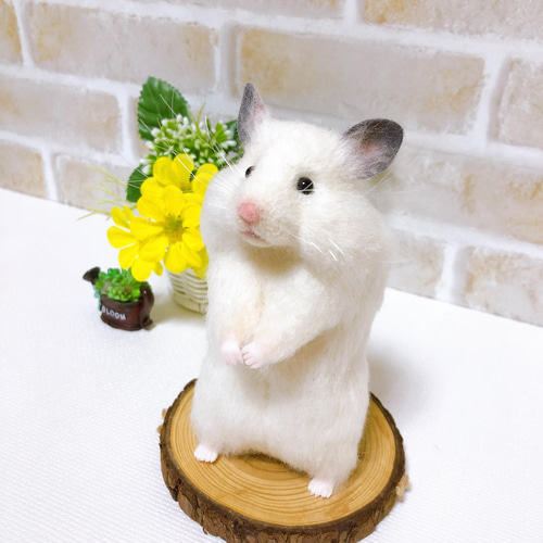 大きなほっぺのシロクマちゃん *ゴールデンホワイトハムスター* <羊毛