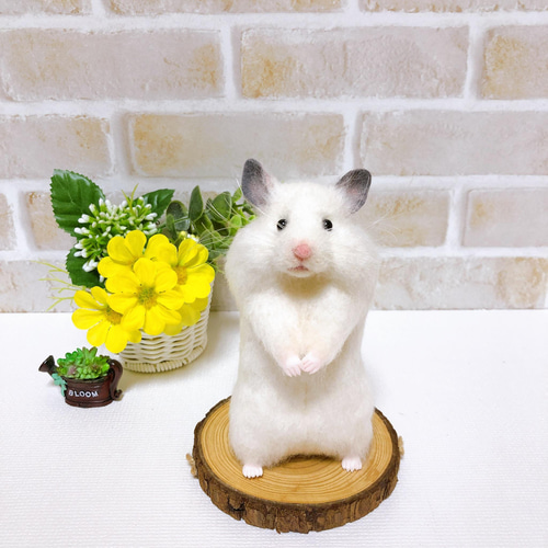 きなこさんオーダーページ　羊毛フェルト　ハムスター 大きなほっぺの *キンクマハムスターさん* <羊毛フェルト> 羊毛