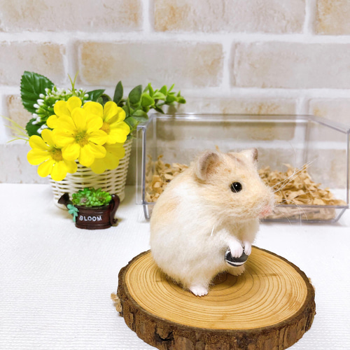371 ファイティングポーズ ハムスター◇羊毛フェルト ぐでーん