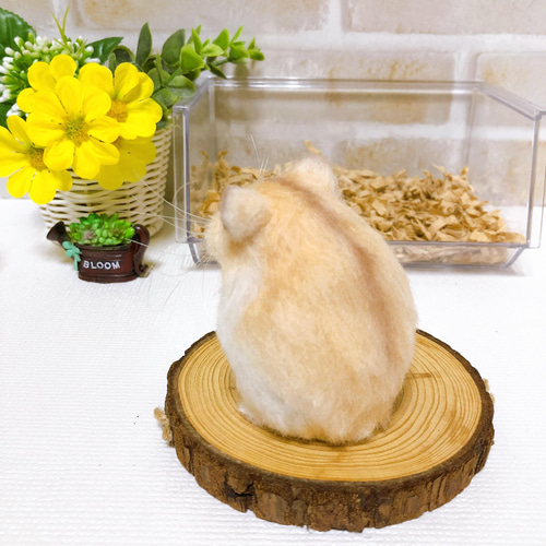♥️羊毛フェルト♥️ドームに入ったジャンガリアンのプディング