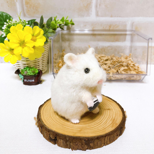 378 くるみ ハムスター 羊毛フェルト ぽっちゃりスノーホワイト* ジャンガリアンハムスター <羊毛フェルト