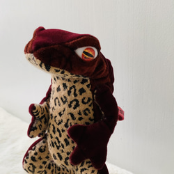 豹柄赤カエル　 ドラゴンアイ　蛙 2枚目の画像
