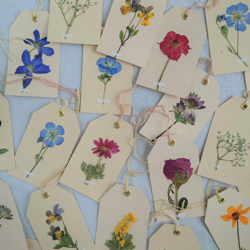 ♡♡♡flower♡♡♡様ご確認用ページ！ gift tag] 押し花付きメッセージカード3枚アソートセット メッセージ