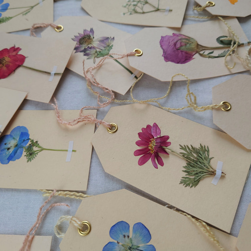 ♡♡♡flower♡♡♡様ご確認用ページ！ 花さま専用 Flowerさん専用 Flowerです Flowerさん専用 Zx flux womens