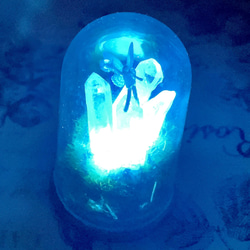 水晶谷の妖精（その7）　妖精標本商会　妖精アクセサリー　妖精　置物　LEDライト　妖精・フェアリー　小瓶の妖精 6枚目の画像