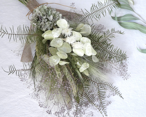 ルナリアドライフラワー20cm10本 ルナリア ドライフラワー その他インテリア雑貨 uni 通販