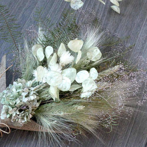 ルナリア　ドライフラワー ルナリア Lunaria annua #ルナ #月 #ドライフラワー #ルナリア