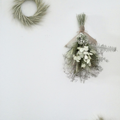 ルナリア　ドライフラワー ルナリア ドライフラワー