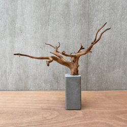 大幅値下げ　盆栽流木　幅25cm位　高さ20cm 大サイズ コンクリート盆栽 (mini tree b-2) 流木 オブジェ ディスプレイ