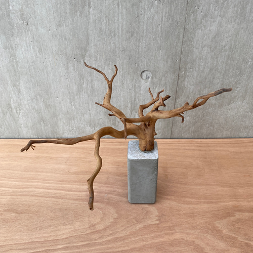 コンクリート盆栽 (mini tree b-2) 流木 オブジェ ディスプレイ 高級感