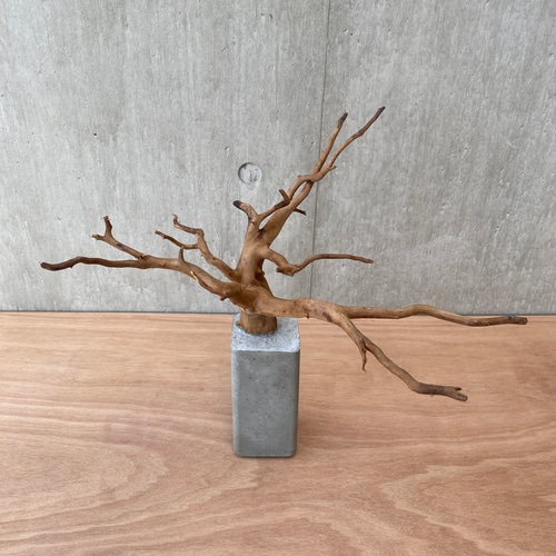 コンクリート盆栽 (m B ) 流木 オブジェ ディスプレイ 高級感 コンクリート盆栽 (m B ) 流木 オブジェ ディスプレイ 高級感 【公式通販】