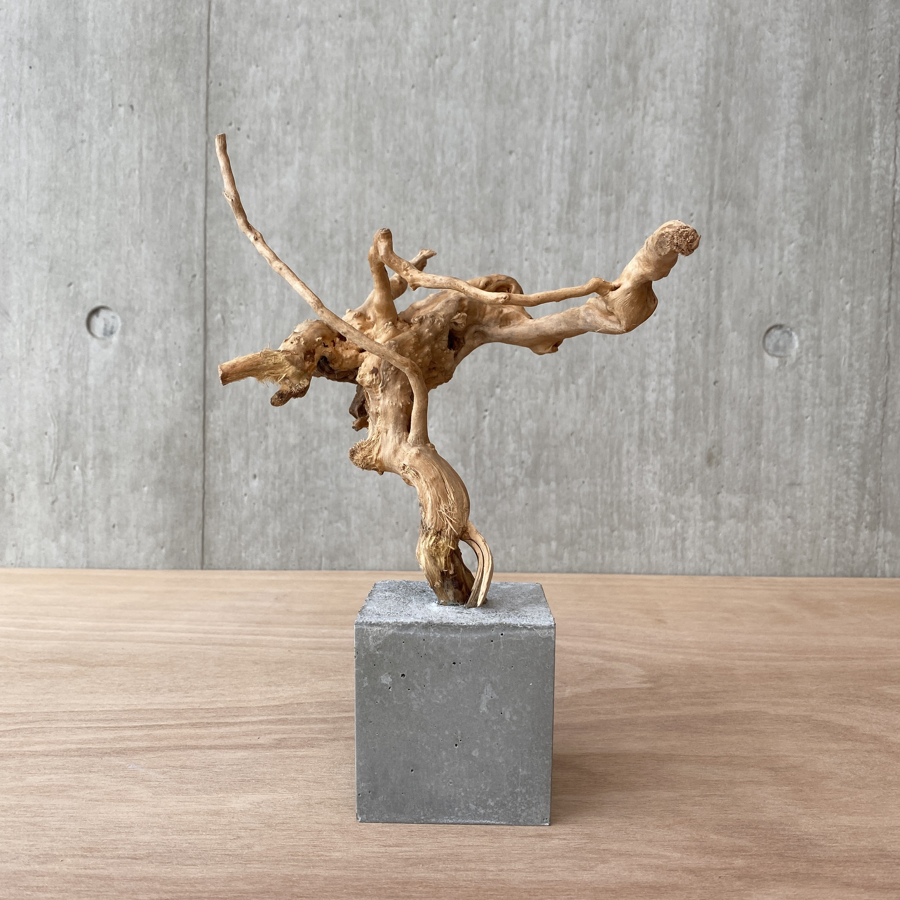 希少サイズ☆大型⭐️流木☆オブジェ☆漂木インテリアディスプレイ☆流木アート 流木インテリア オブジェ ディスプレイ 1070400006 その他