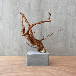 コンクリート盆栽 ( M brown A -3 ) 流木 オブジェ ディスプレイ 高級 スタイリッシュ アート デザイン 1枚目の画像