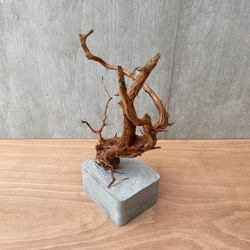 コンクリート盆栽 ( M brown A -3 ) 流木 オブジェ ディスプレイ 高級 スタイリッシュ アート デザイン 15枚目の画像