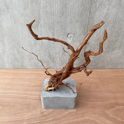 コンクリート盆栽 ( M brown A -3 ) 流木 オブジェ ディスプレイ 高級 スタイリッシュ アート デザイン 14枚目の画像
