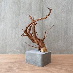 コンクリート盆栽 ( M brown A -3 ) 流木 オブジェ ディスプレイ 高級 スタイリッシュ アート デザイン 4枚目の画像