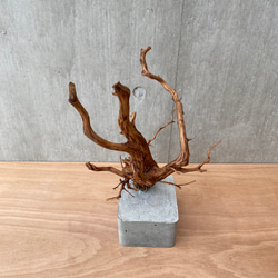 コンクリート盆栽 ( M brown A -3 ) 流木 オブジェ ディスプレイ 高級 スタイリッシュ アート デザイン 16枚目の画像