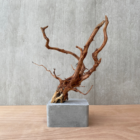 コンクリート盆栽 ( M brown A -3 ) 流木 オブジェ ディスプレイ 高級 スタイリッシュ アート デザイン 3枚目の画像