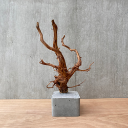 コンクリート盆栽 ( M brown A -3 ) 流木 オブジェ ディスプレイ 高級 スタイリッシュ アート デザイン 6枚目の画像