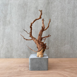コンクリート盆栽 ( M brown A -3 ) 流木 オブジェ ディスプレイ 高級 スタイリッシュ アート デザイン 2枚目の画像