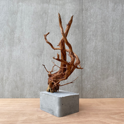 コンクリート盆栽 ( M brown A -3 ) 流木 オブジェ ディスプレイ 高級 スタイリッシュ アート デザイン 8枚目の画像